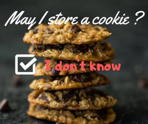 Cookie e privacy policy